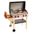 hape toys gourmet grill with food