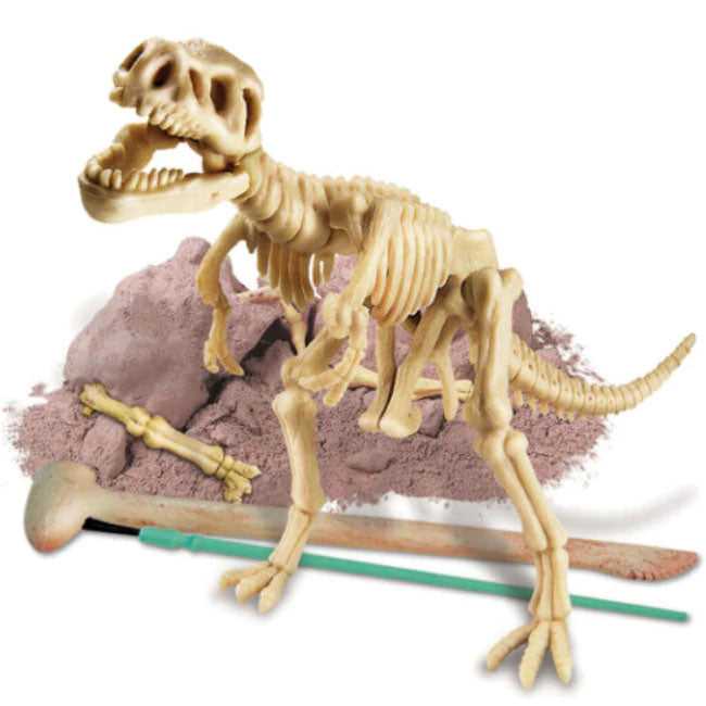 dig a dinosaur skeleton - tyrannosaurus