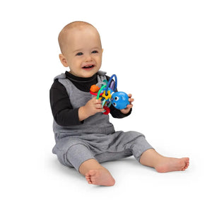 Baby Einstein Opus's Shake & Soothe Teether Toy & Rattle