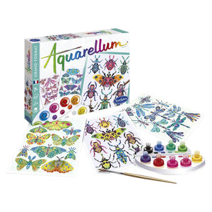 Aquarellum - Insectarium
