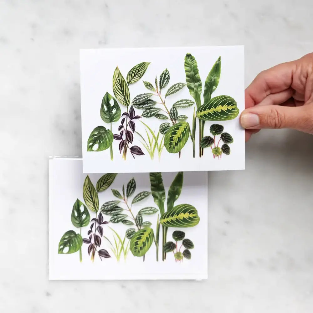 bottle branch botanical card - house plants