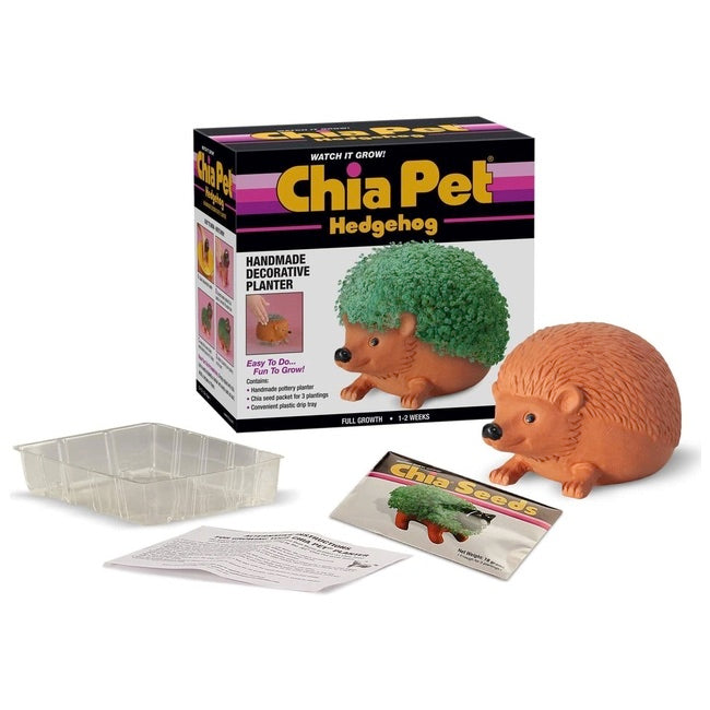 Chia Pet Hedgehog