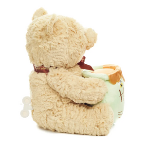 Disney Baby - Classic Pooh Waggie Musical Wind Up Plush
