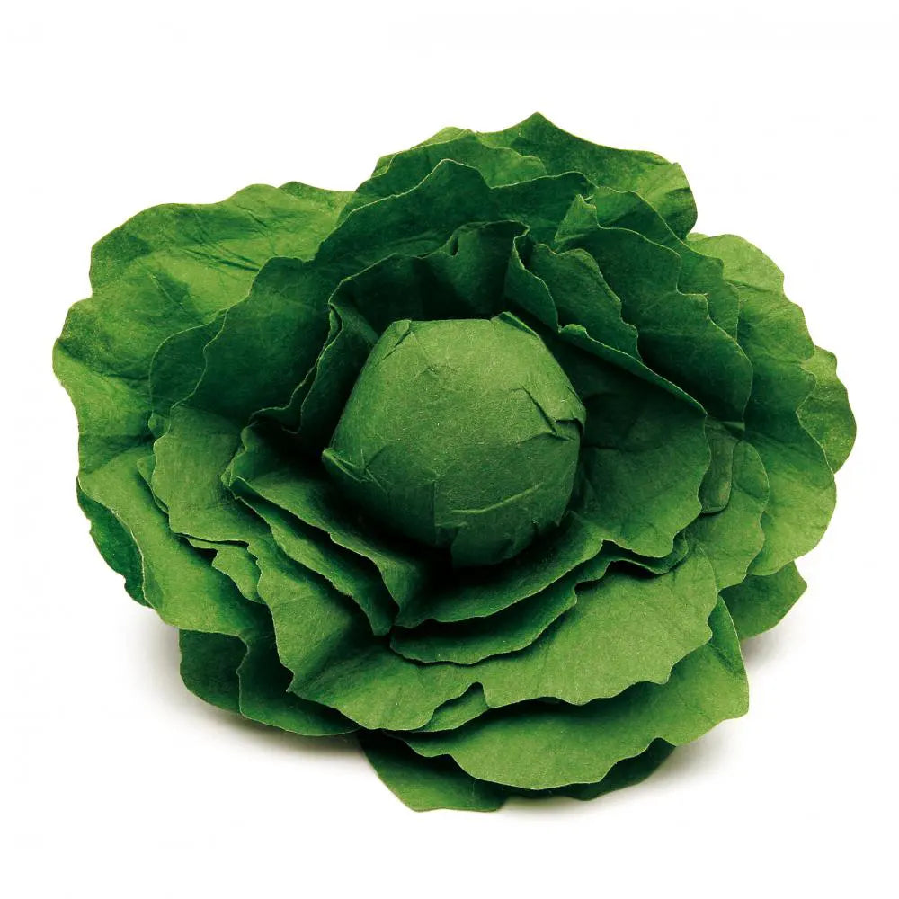 Green toy lettuce on a white background