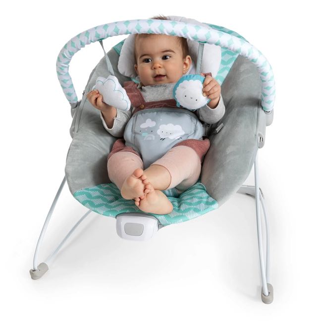 Ingenuity Ity Bouncity Bounce Vibrating Deluxe Bouncer Goji Baby Charlotte Canada