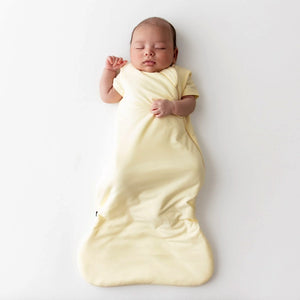 Kyte Baby 1.0 Tog Sleep Bag in Chamomile