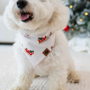 Kyte Baby Dog Bandana in Santa Sleigh