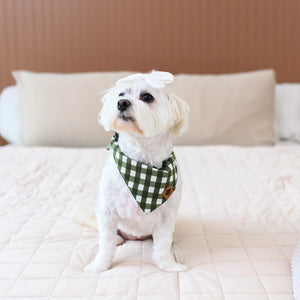 Kyte Baby Dog Bandana in Gingham Fir