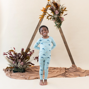 Kyte Baby Long Sleeve Printed Toddler Pajama Set in Coastline