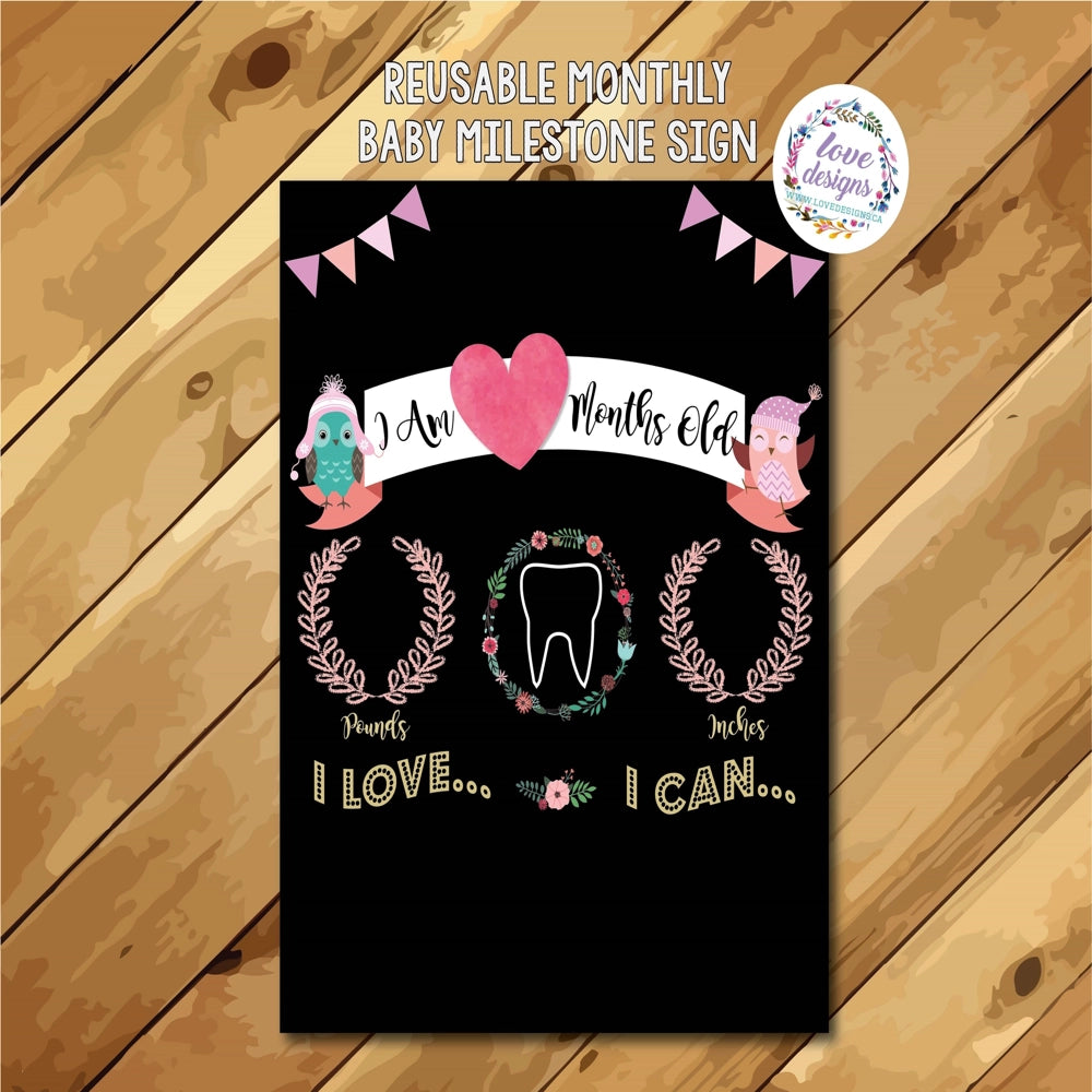 Love Designs Reusable Milestone Birthday Sign - Owls