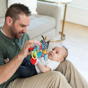 Manhattan Toy Wimmer Zaggles