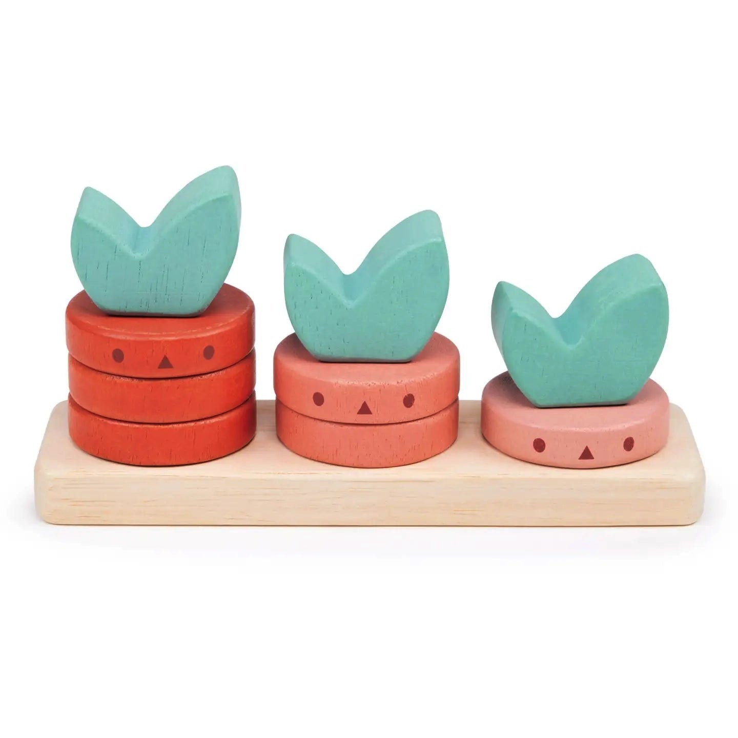 Mentari Toys Counting Vegetables