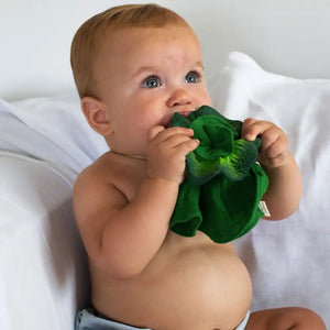 Oli & Carol Kendall the Kale Mini Doudou Teether