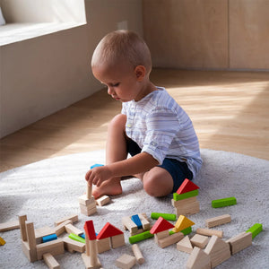 Plan Toys 40 Piece Small Unit Blocks