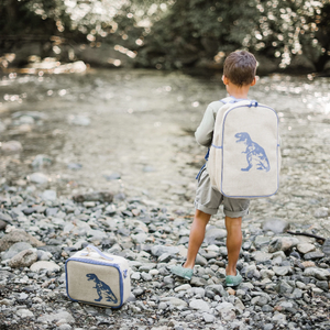 soyoung grade school backpack - blue dino