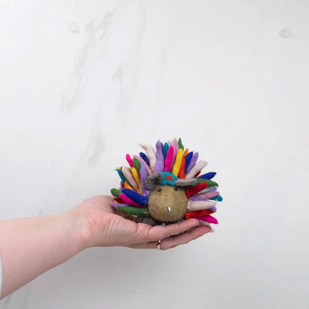 The Winding Road Toy Hedgehog - Rainbow Small