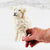 The Winding Road Toy Sheep Ball - White