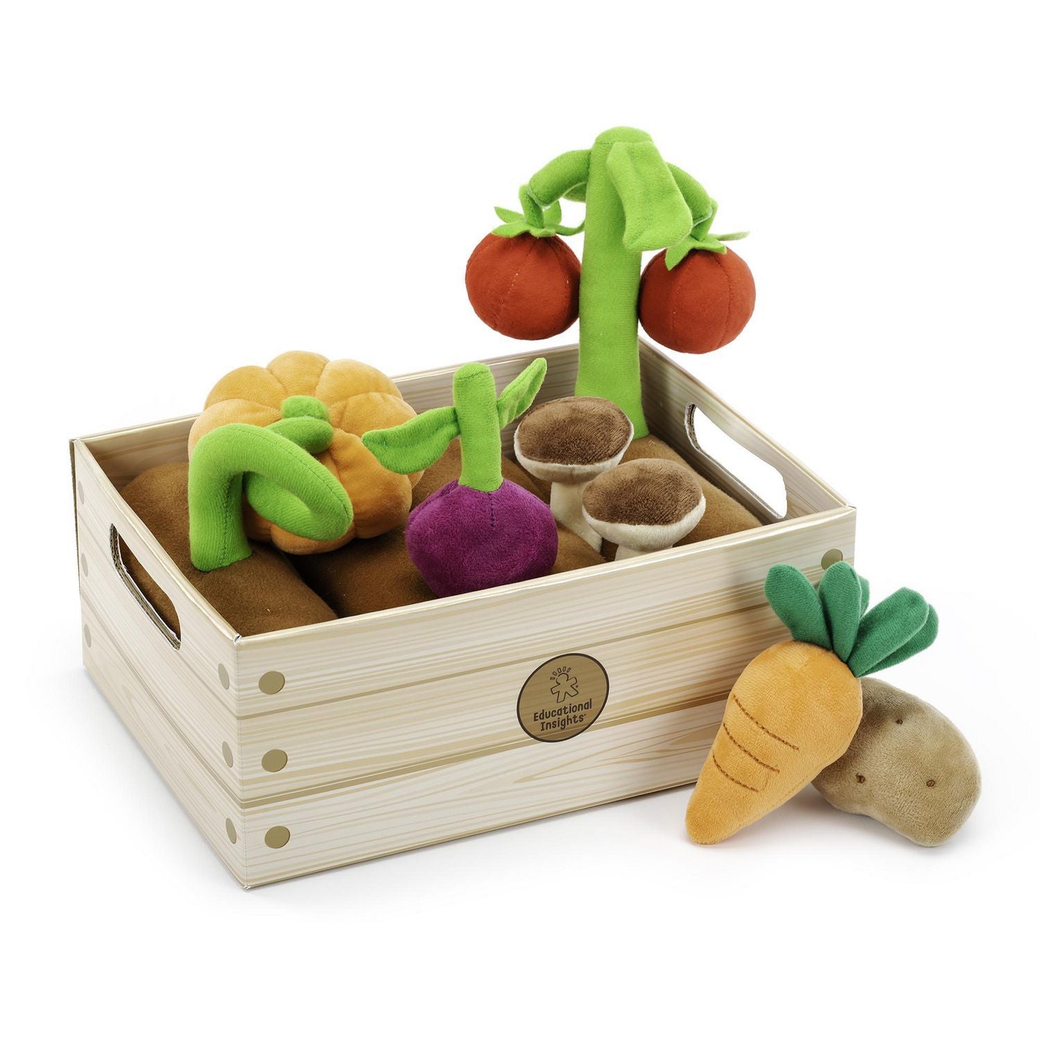 educational insights vegetable garden