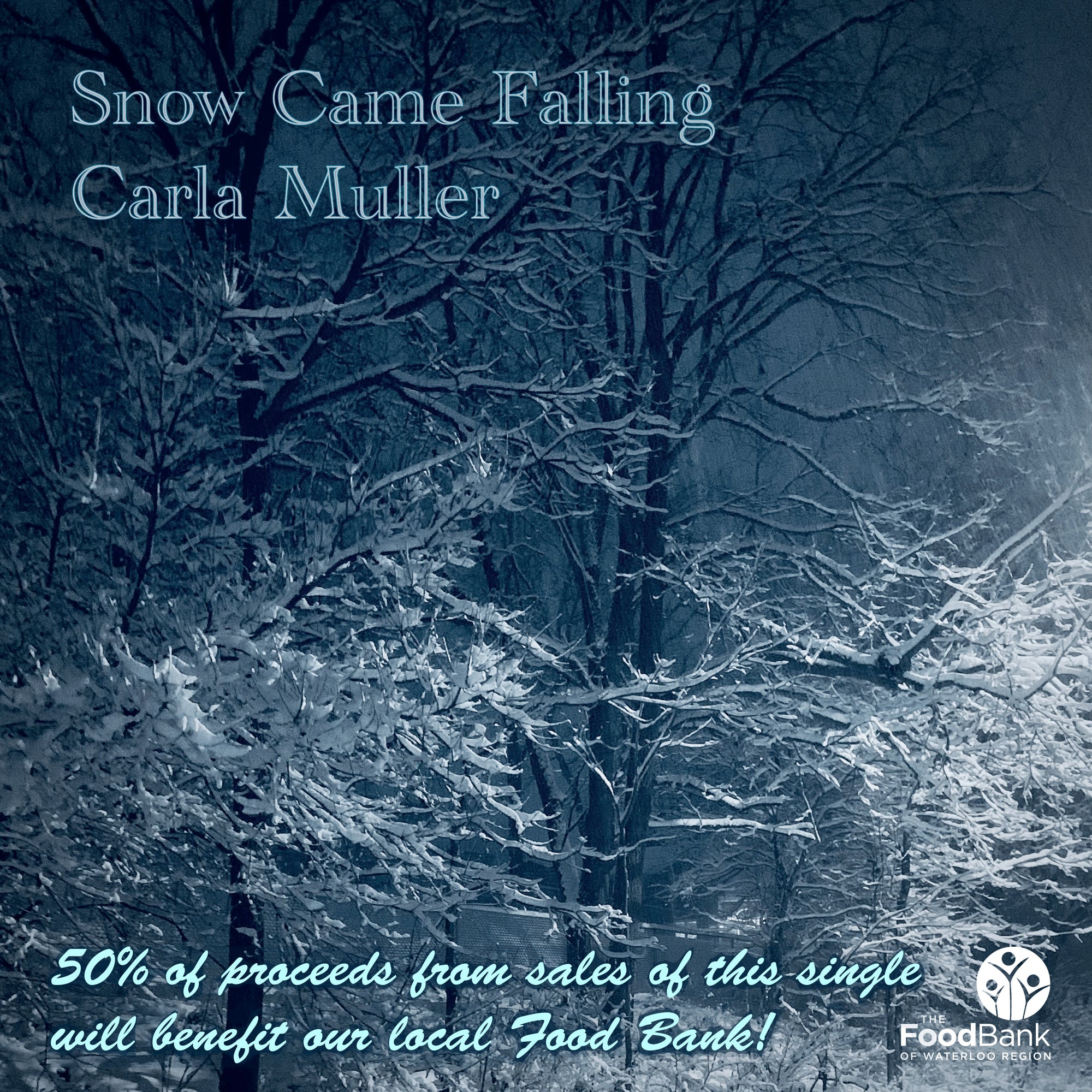 Snow Came Falling by Carla Muller (single on CD) - Shine A Little Light Food Bank of Waterloo Region Benefit