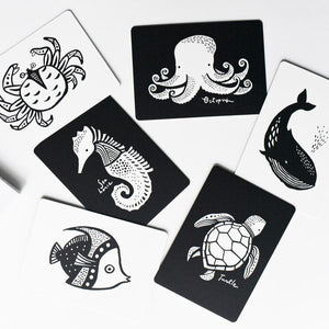 wee gallery art cards for baby - ocean collection