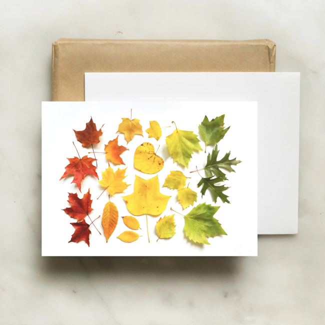 bottle branch botanical card - autumn leaf ombre