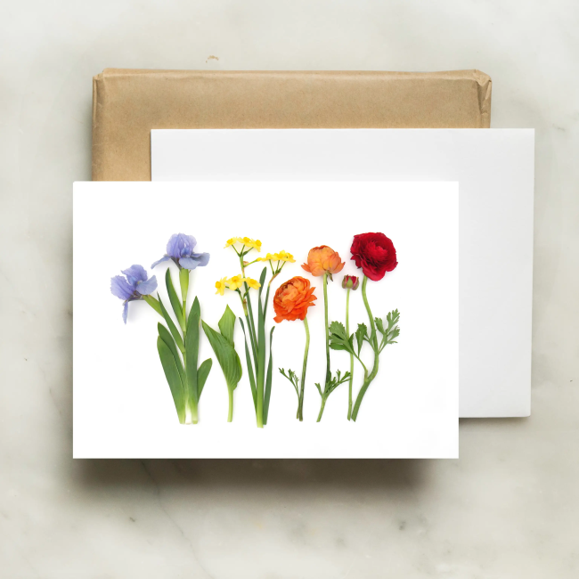 bottle branch botanical card - springtime garden rainbow - Iris
