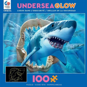 ceaco undersea glow in the dark puzzle 100PC