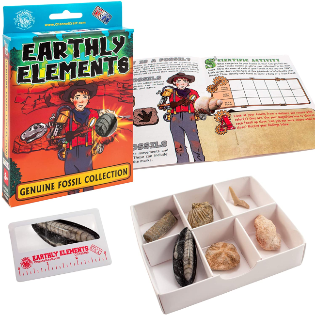 channel craft earthly fossil kit