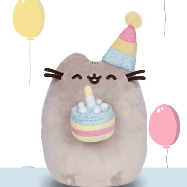 Pusheen party hat hotsell