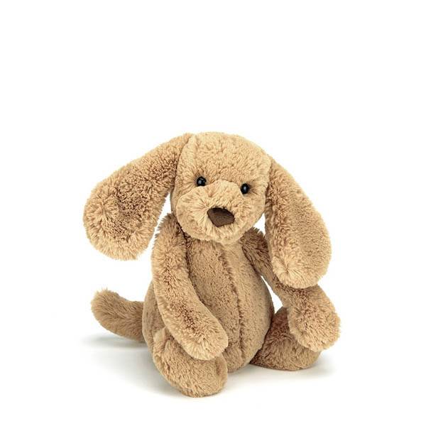 jellycat bashful toffee puppy - small