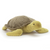 jellycat terence turtle