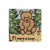 jellycat if i were a bear board book