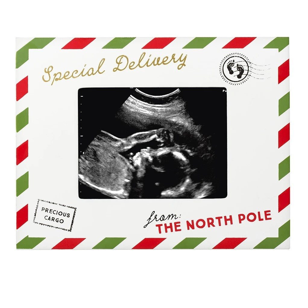pearhead sonogram holiday ornament - from the north pole